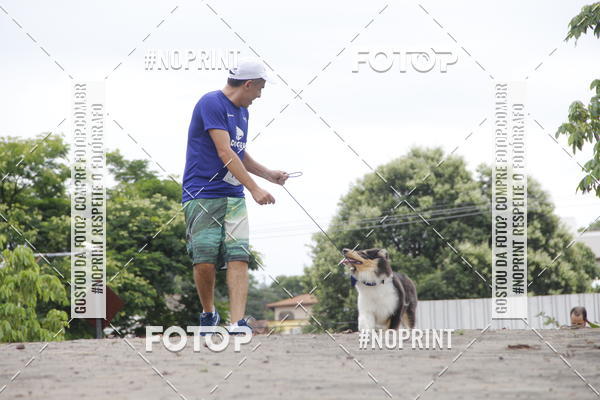 Buy your photos of the eventDogRun Corrida e Cominhada on Fotop