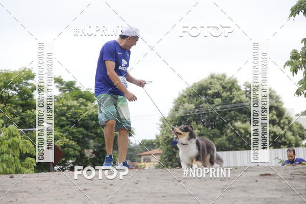 Buy your photos of the eventDogRun Corrida e Cominhada on Fotop