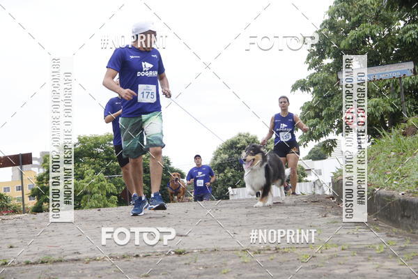 Buy your photos of the eventDogRun Corrida e Cominhada on Fotop