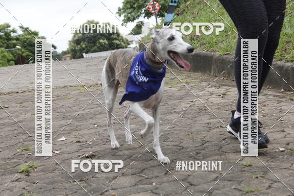 Buy your photos of the eventDogRun Corrida e Cominhada on Fotop