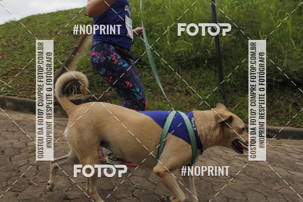 Buy your photos of the eventDogRun Corrida e Cominhada on Fotop