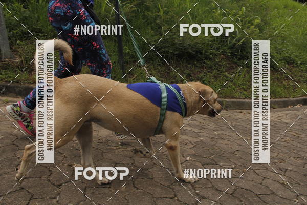 Buy your photos of the eventDogRun Corrida e Cominhada on Fotop