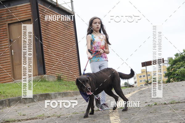 Buy your photos of the eventDogRun Corrida e Cominhada on Fotop