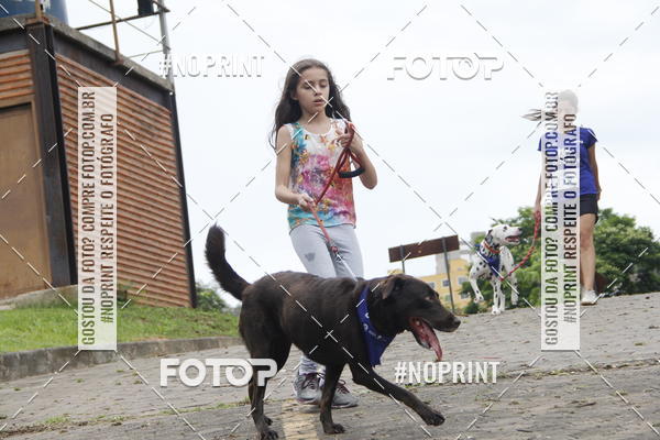 Buy your photos of the eventDogRun Corrida e Cominhada on Fotop