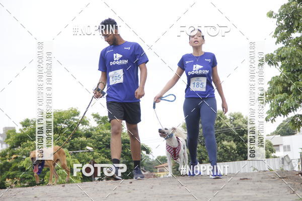 Buy your photos of the eventDogRun Corrida e Cominhada on Fotop