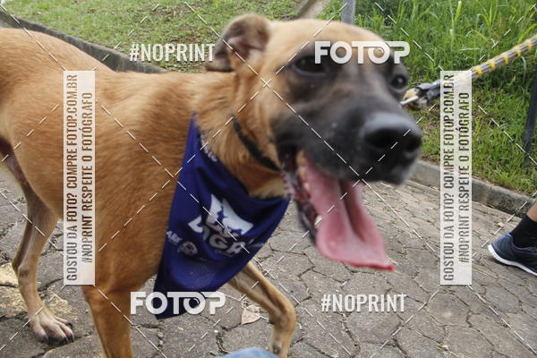 Buy your photos of the eventDogRun Corrida e Cominhada on Fotop