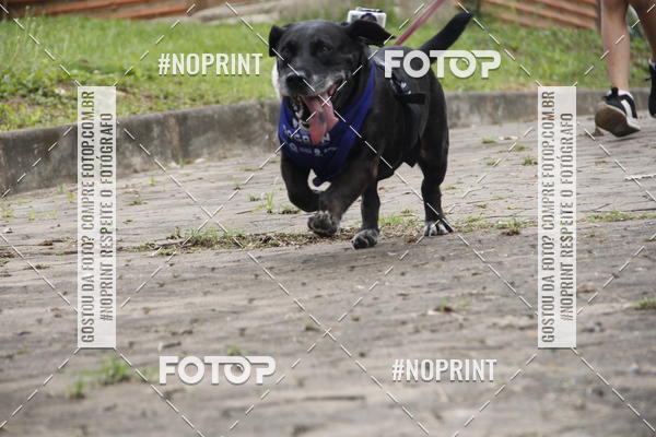 Buy your photos of the eventDogRun Corrida e Cominhada on Fotop