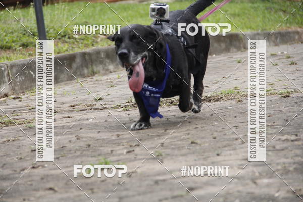 Buy your photos of the eventDogRun Corrida e Cominhada on Fotop