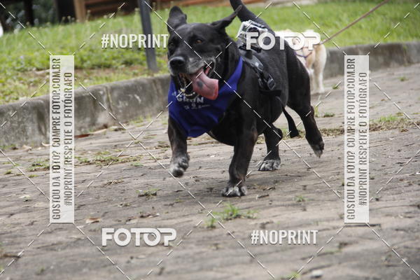 Buy your photos of the eventDogRun Corrida e Cominhada on Fotop
