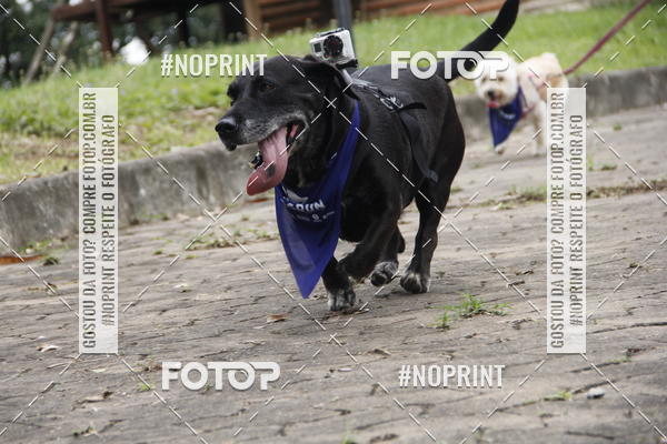 Buy your photos of the eventDogRun Corrida e Cominhada on Fotop