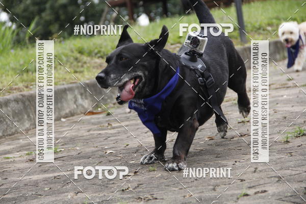 Buy your photos of the eventDogRun Corrida e Cominhada on Fotop