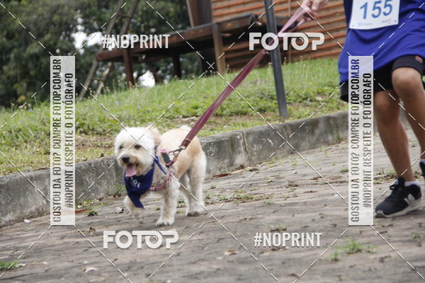 Buy your photos of the eventDogRun Corrida e Cominhada on Fotop