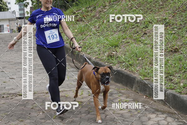 Buy your photos of the eventDogRun Corrida e Cominhada on Fotop