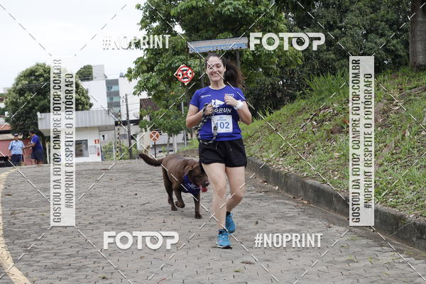 Buy your photos of the eventDogRun Corrida e Cominhada on Fotop