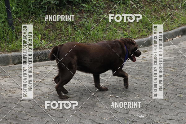 Buy your photos of the eventDogRun Corrida e Cominhada on Fotop