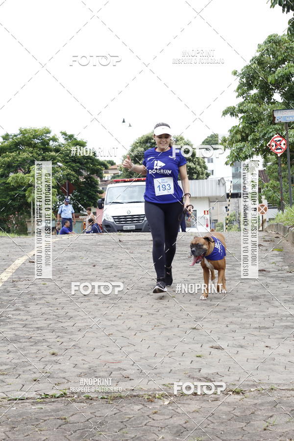 Buy your photos of the eventDogRun Corrida e Cominhada on Fotop
