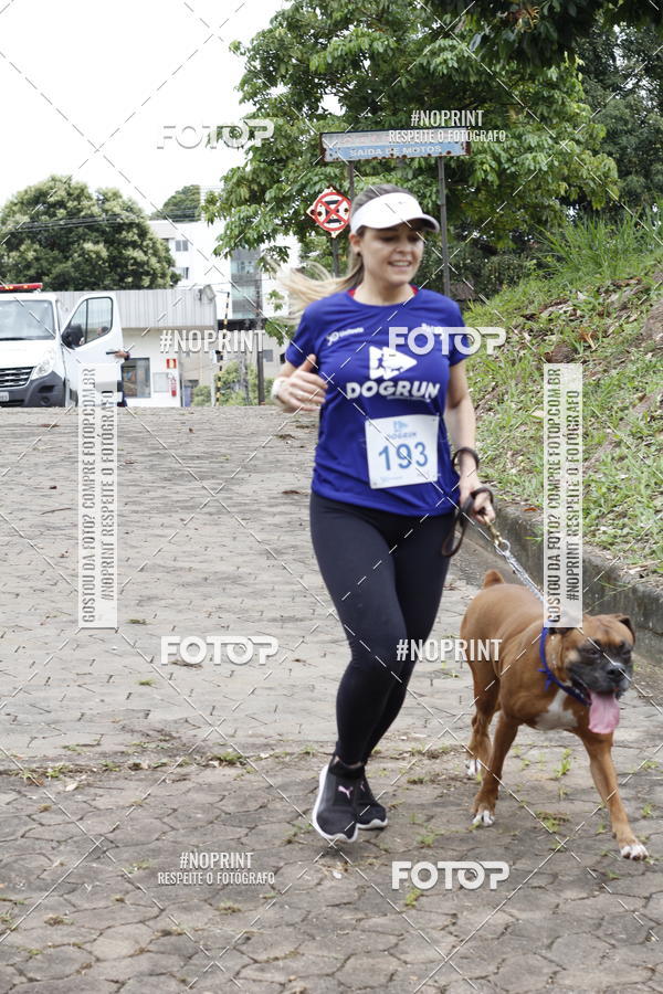Buy your photos of the eventDogRun Corrida e Cominhada on Fotop