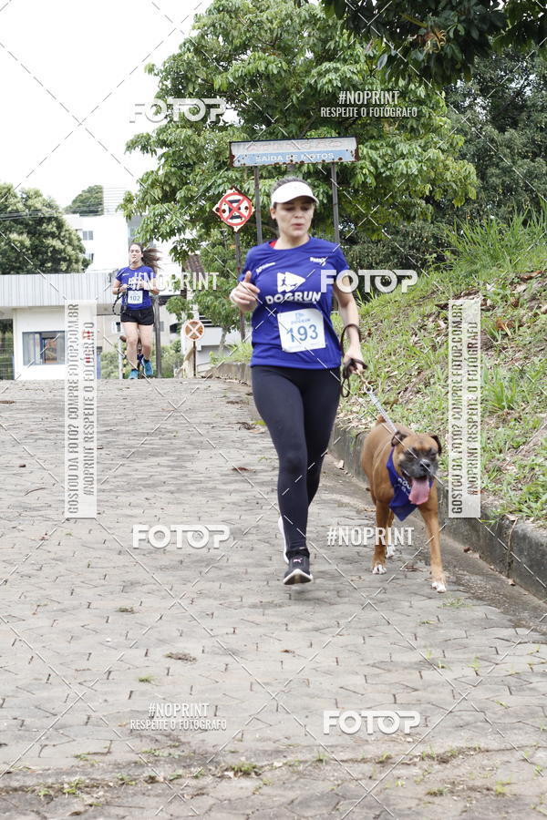 Buy your photos of the eventDogRun Corrida e Cominhada on Fotop