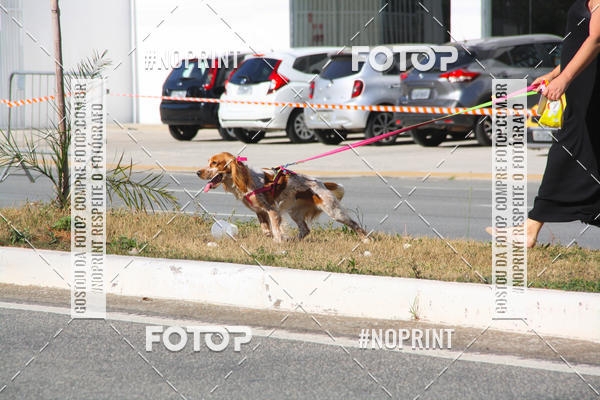 Compra tus fotos del evento1 CORRIDA E CAMINHADA 5K E 10K - CORRENDO PELO SAMUEL En Fotop