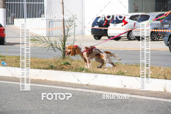 Compra tus fotos del evento1 CORRIDA E CAMINHADA 5K E 10K - CORRENDO PELO SAMUEL En Fotop