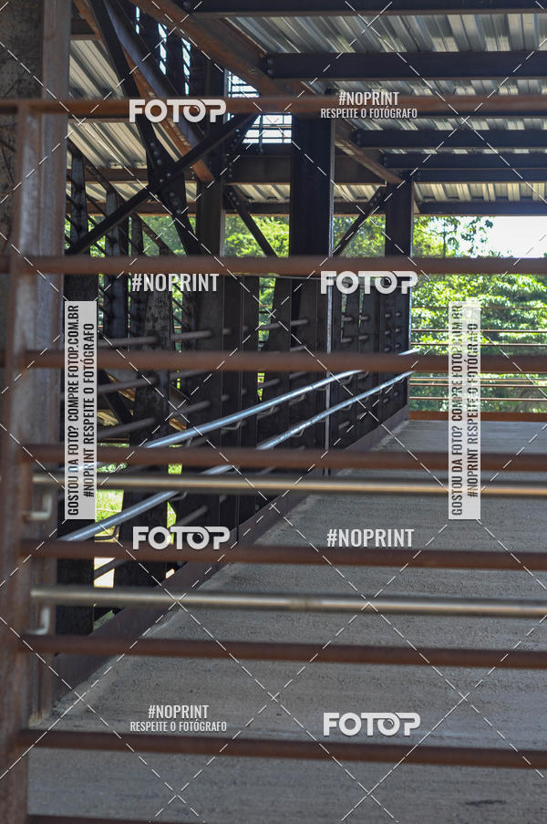 Buy your photos of the event16� SP BY BIKE - Shopping Sp Market on Fotop