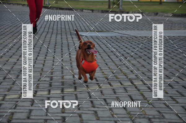 Achetez vos photos de l'�v�nement1� Corrida do Outubro Rosa - Recife - PE sur Fotop