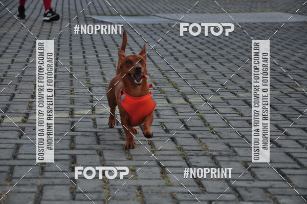 Achetez vos photos de l'�v�nement1� Corrida do Outubro Rosa - Recife - PE sur Fotop