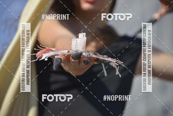 Buy your photos of the eventZombie Walk SP 2019 - Equipe ASI on Fotop