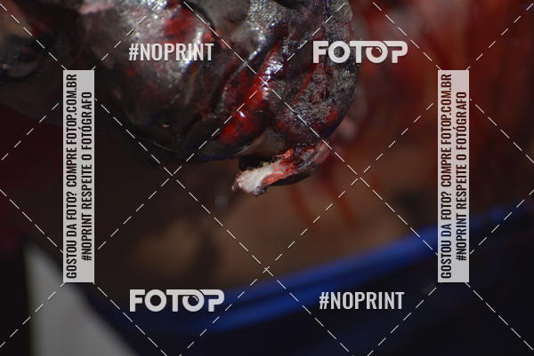 Buy your photos of the eventZombie Walk SP 2019 - Equipe ASI on Fotop