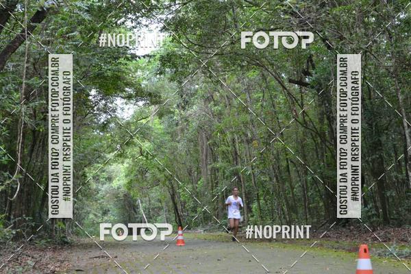 Buy your photos of the eventBLUE SERIES TRIATHLON SO CARLOS 2019 on Fotop