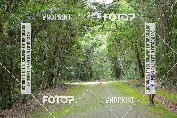 Buy your photos of the eventBLUE SERIES TRIATHLON SO CARLOS 2019 on Fotop