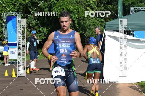 Buy your photos of the eventBLUE SERIES TRIATHLON SO CARLOS 2019 on Fotop