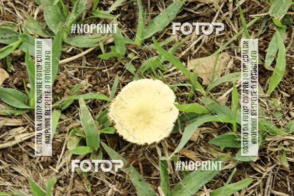 Buy your photos of the eventCR2 Bike Cross Indoor on Fotop