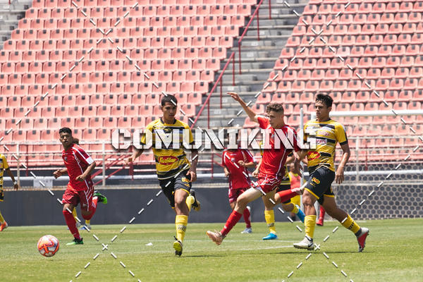 Buy your photos of the eventCAMPEONATO PAULISTA SUB-17 - ITUANO X NOVORIZONTINO  on Fotop