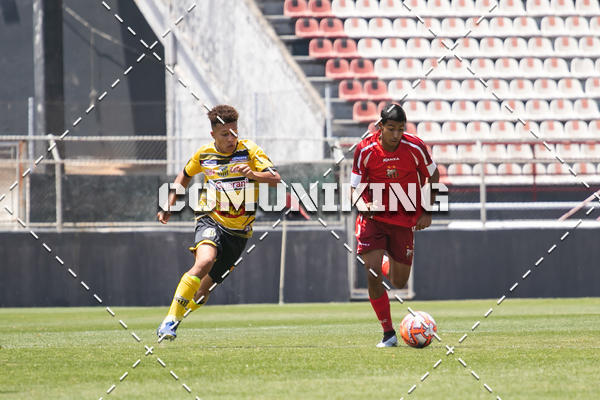 Buy your photos of the eventCAMPEONATO PAULISTA SUB-17 - ITUANO X NOVORIZONTINO  on Fotop