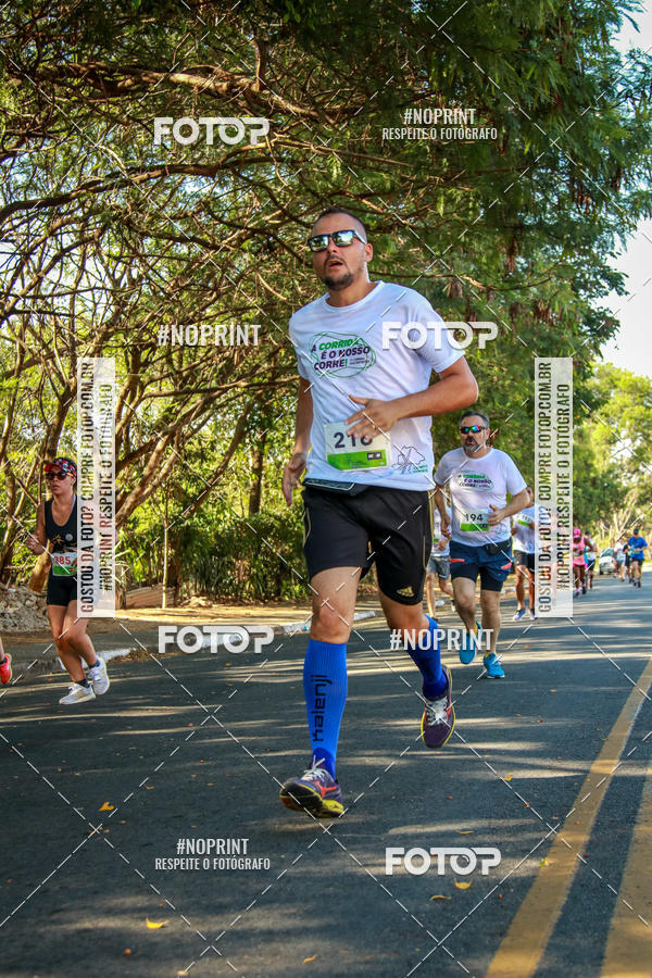 Buy your photos of the event5 corrida dos Distritos - Etapa Campo Grande on Fotop
