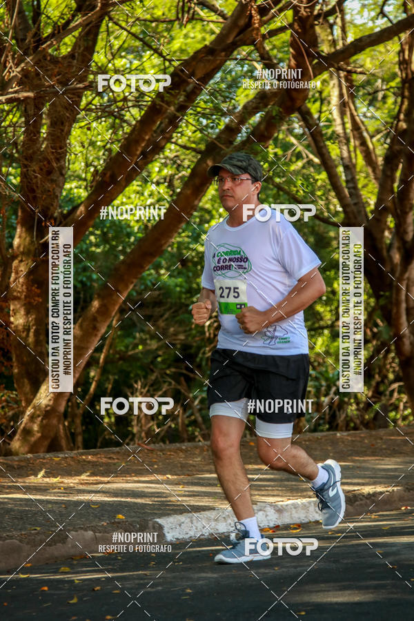 Buy your photos of the event5 corrida dos Distritos - Etapa Campo Grande on Fotop