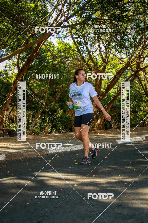 Buy your photos of the event5 corrida dos Distritos - Etapa Campo Grande on Fotop
