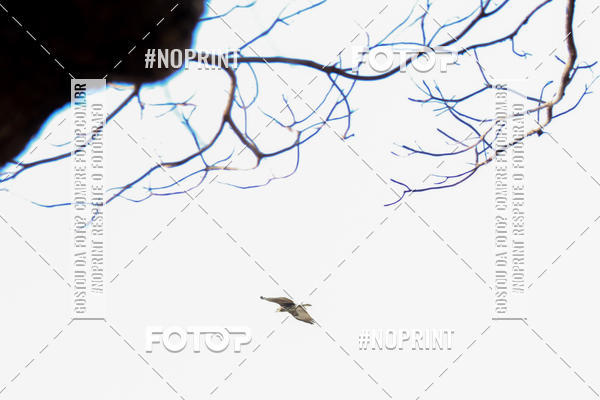 Buy your photos of the eventTriathlon Longo   Cabra da Peste e Mulher Guerreira on Fotop