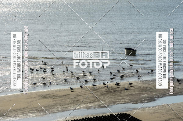 Buy your photos of the eventAudax Floripa 200km Grande Florianpolis on Fotop