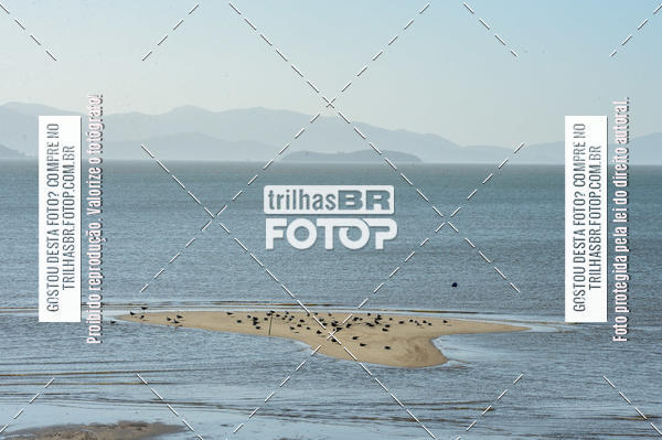 Buy your photos of the eventAudax Floripa 200km Grande Florianpolis on Fotop