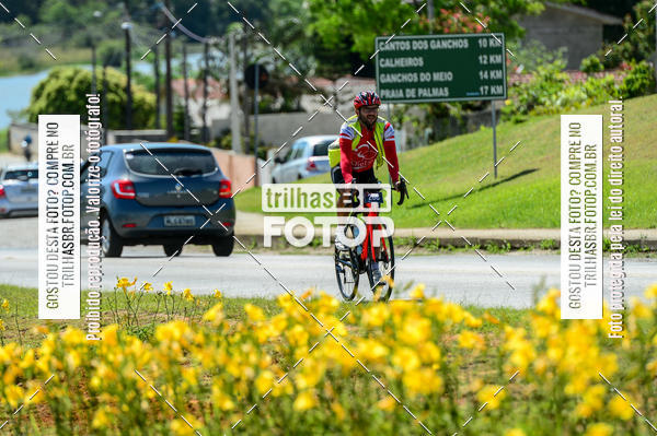 Buy your photos of the eventAudax Floripa 200km Grande Florianpolis on Fotop