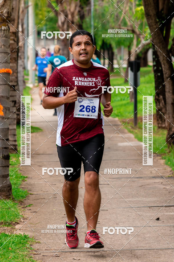 Buy your photos of the event2 Treino Cruzeiro Runners on Fotop