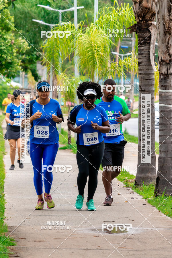 Buy your photos of the event2 Treino Cruzeiro Runners on Fotop