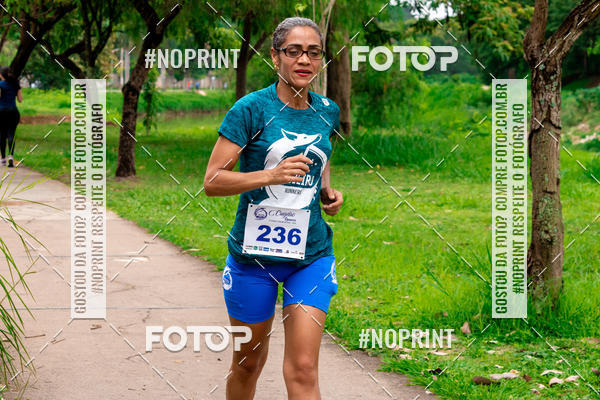 Buy your photos of the event2 Treino Cruzeiro Runners on Fotop