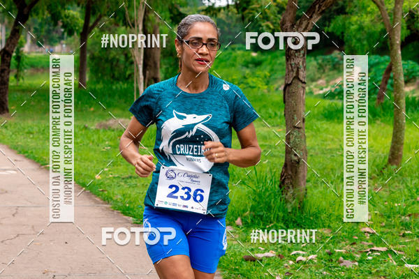 Buy your photos of the event2 Treino Cruzeiro Runners on Fotop