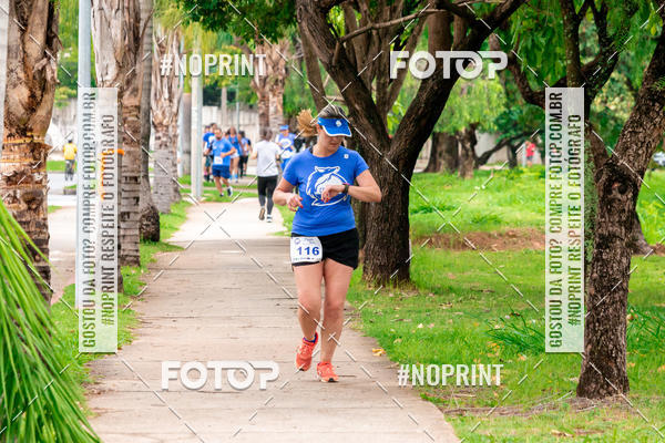 Buy your photos of the event2 Treino Cruzeiro Runners on Fotop