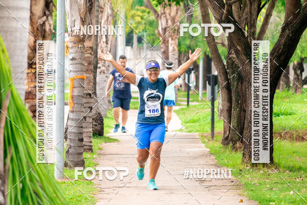 Buy your photos of the event2 Treino Cruzeiro Runners on Fotop