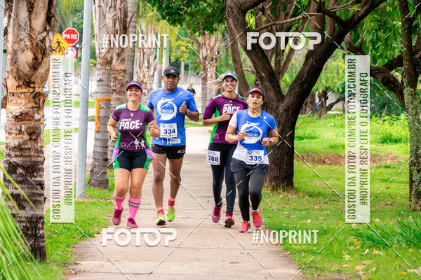 Buy your photos of the event2 Treino Cruzeiro Runners on Fotop