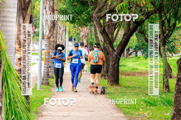 Buy your photos of the event2 Treino Cruzeiro Runners on Fotop